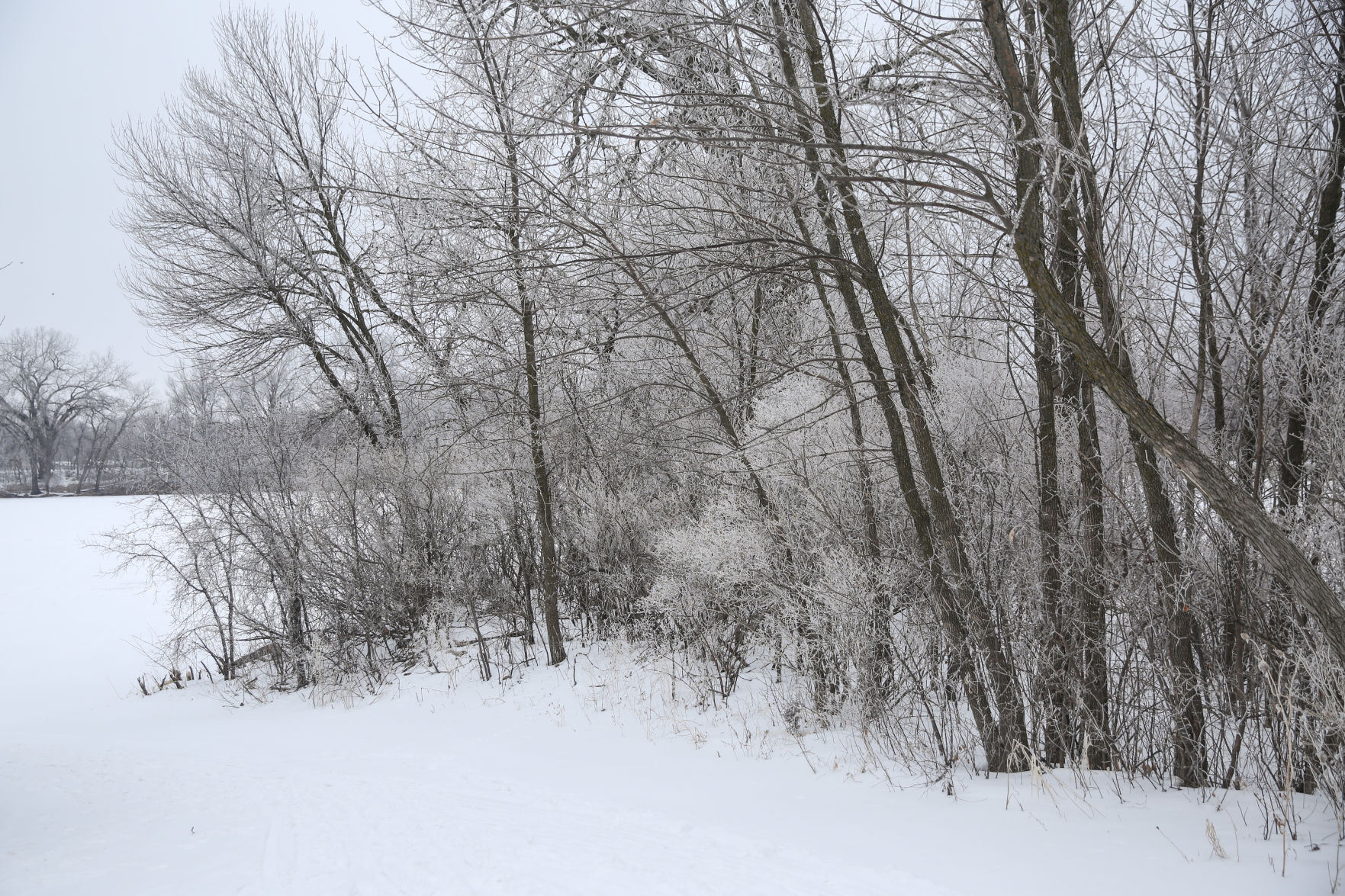 Frosty day - Feb. 2, 2020-15.jpg